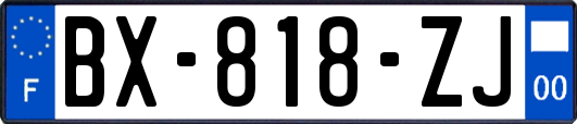 BX-818-ZJ