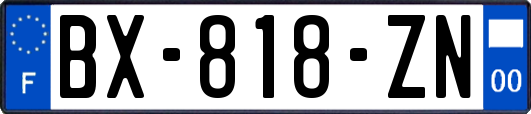 BX-818-ZN