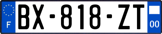 BX-818-ZT