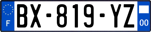 BX-819-YZ