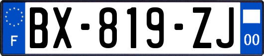 BX-819-ZJ