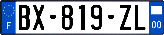 BX-819-ZL