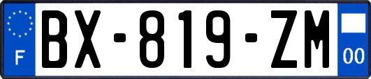 BX-819-ZM