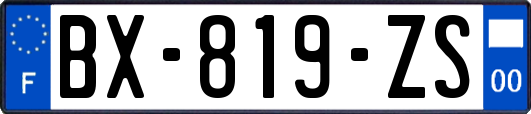 BX-819-ZS
