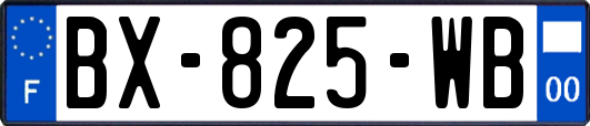 BX-825-WB