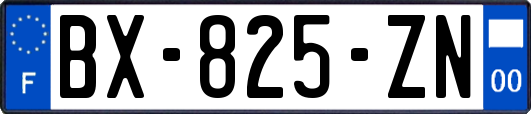 BX-825-ZN