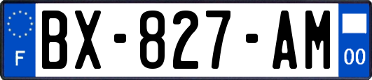 BX-827-AM