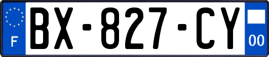 BX-827-CY