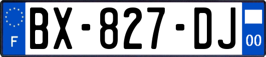 BX-827-DJ