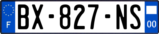 BX-827-NS