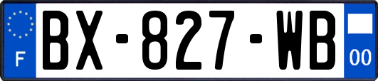 BX-827-WB