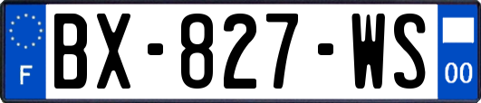 BX-827-WS