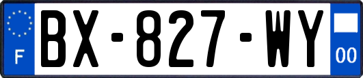 BX-827-WY