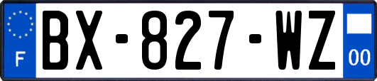 BX-827-WZ