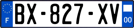 BX-827-XV