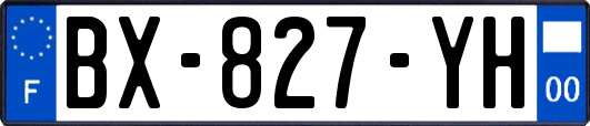 BX-827-YH