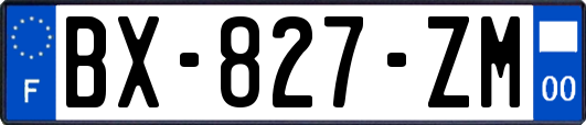 BX-827-ZM