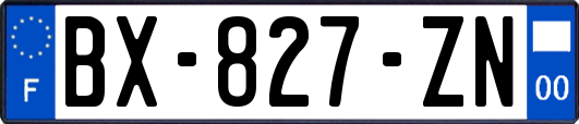 BX-827-ZN