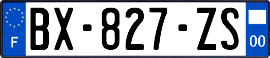 BX-827-ZS