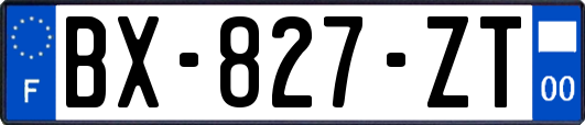 BX-827-ZT