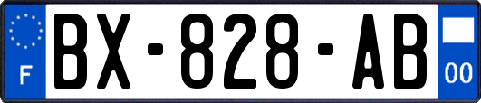 BX-828-AB