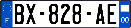 BX-828-AE