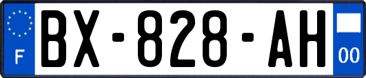 BX-828-AH