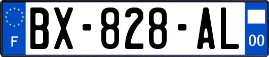 BX-828-AL
