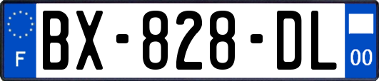 BX-828-DL