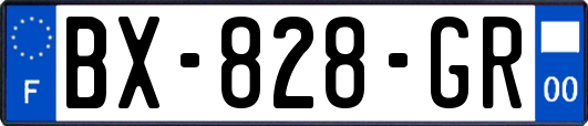 BX-828-GR