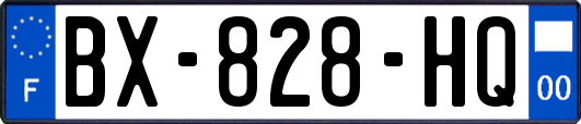 BX-828-HQ