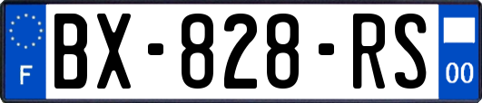 BX-828-RS