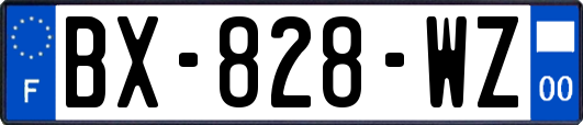 BX-828-WZ