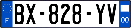 BX-828-YV