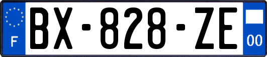 BX-828-ZE