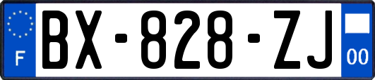 BX-828-ZJ