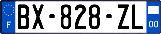 BX-828-ZL