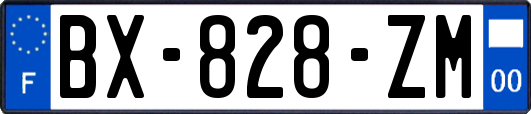 BX-828-ZM