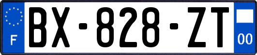 BX-828-ZT