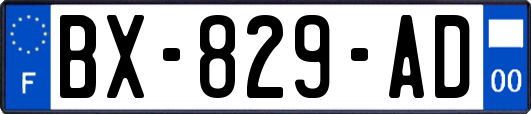 BX-829-AD