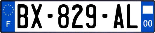 BX-829-AL