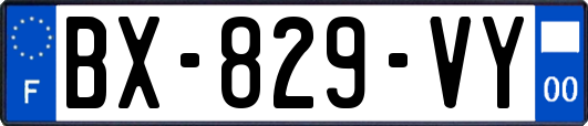 BX-829-VY