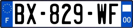 BX-829-WF