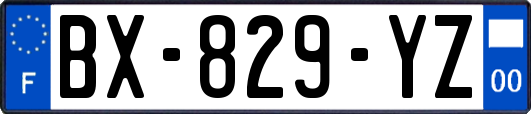 BX-829-YZ