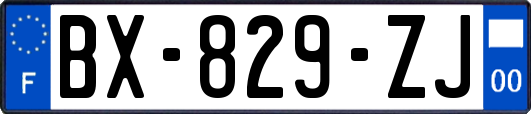 BX-829-ZJ