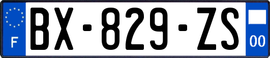 BX-829-ZS