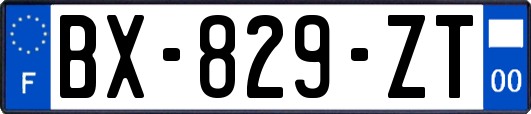 BX-829-ZT