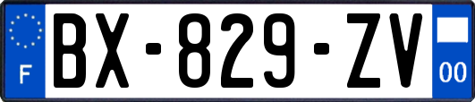 BX-829-ZV