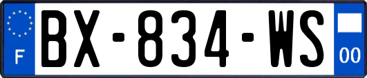 BX-834-WS