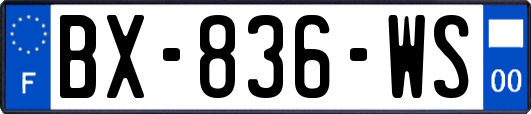 BX-836-WS